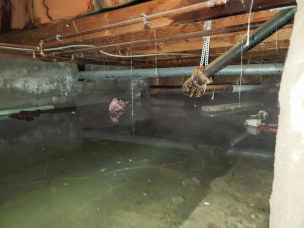 Best Water damage restoration specialists  in Newtown, PA