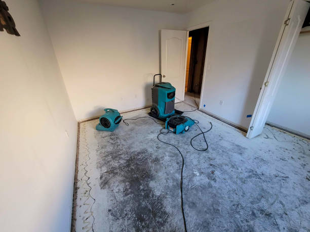Best Ceiling water damage repair  in Newtown, PA