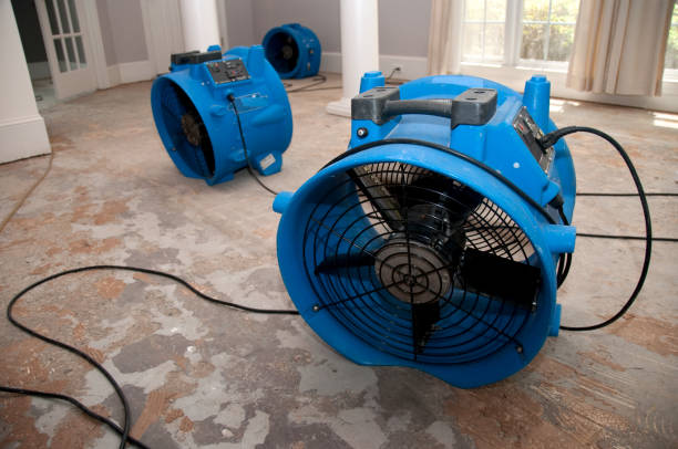 Best Water damage contractors near me  in Newtown, PA