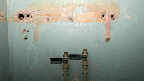 Best Basement water damage restoration  in Newtown, PA
