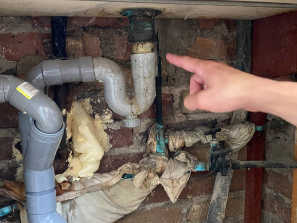 Best 24/7 water damage repair  in Newtown, PA