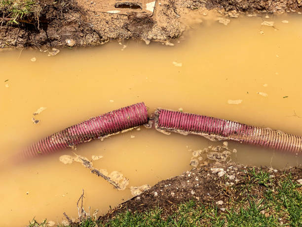 Best Emergency water damage restoration  in Newtown, PA