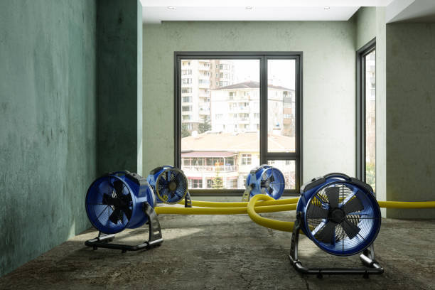 Best Sewage cleanup and water damage restoration  in Newtown, PA